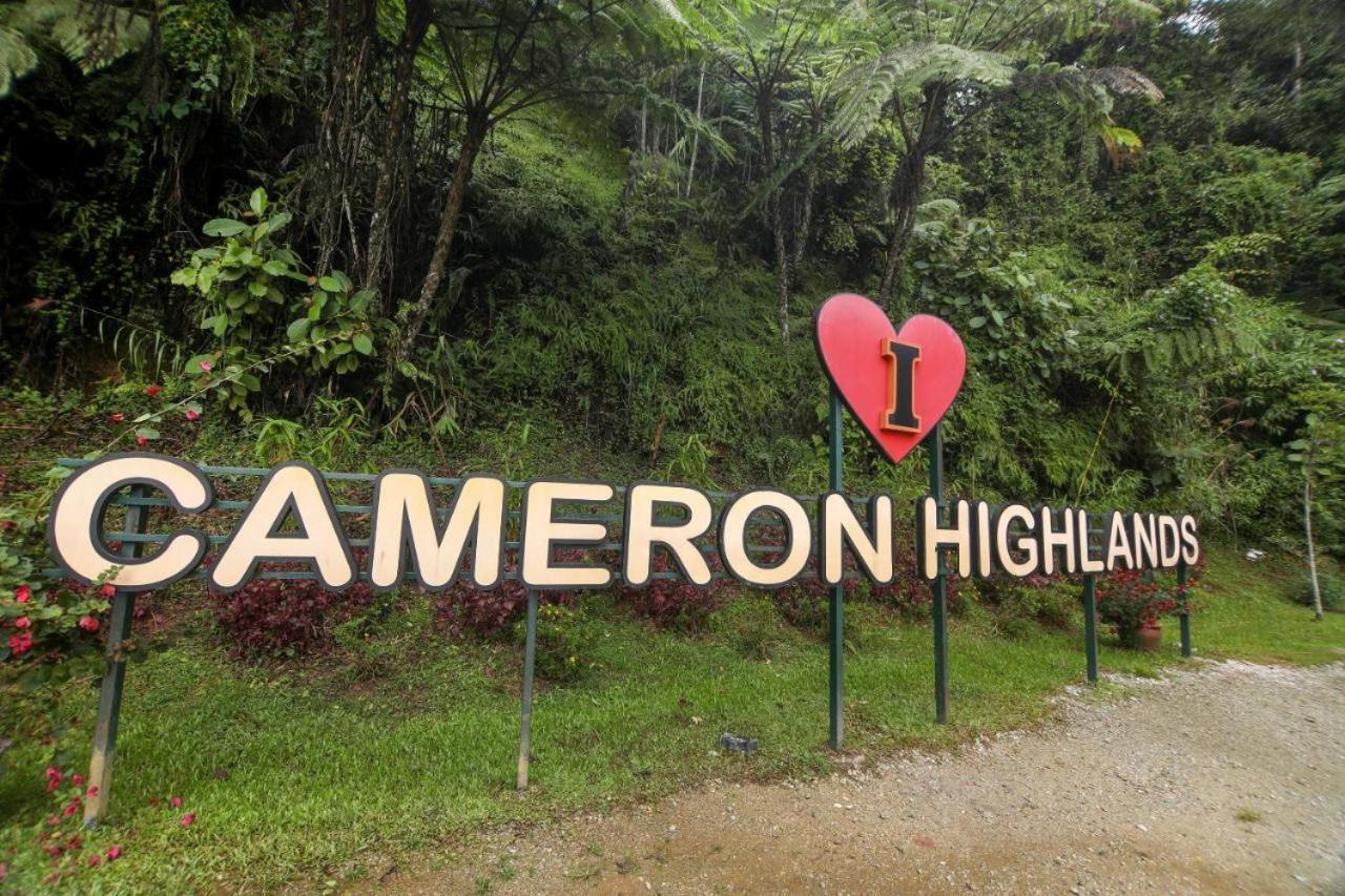 Cameron Kea Farm Hotel ブリンチャン エクステリア 写真